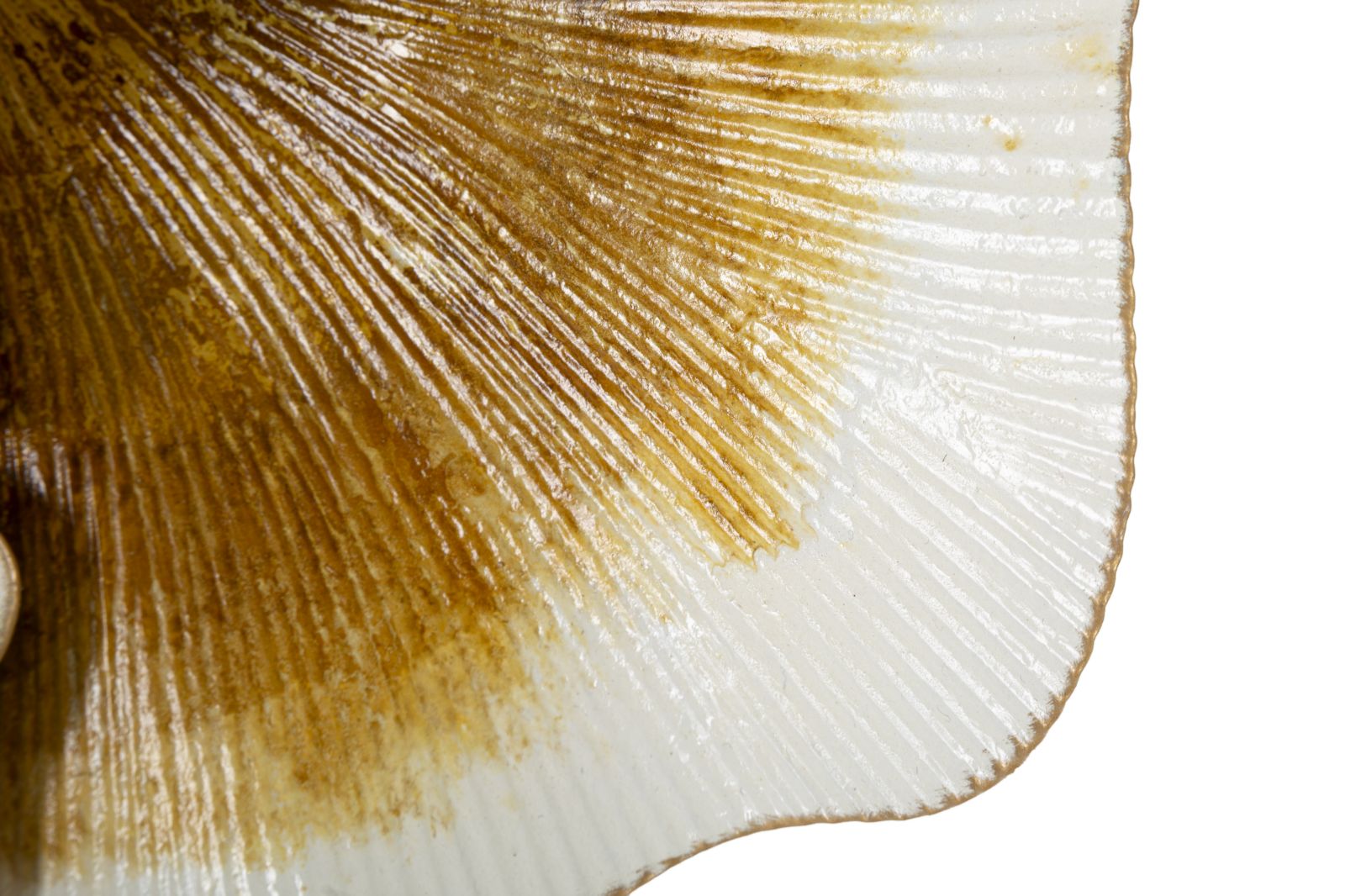 b320c67321e5a4ebe6eb50fafc180e6e