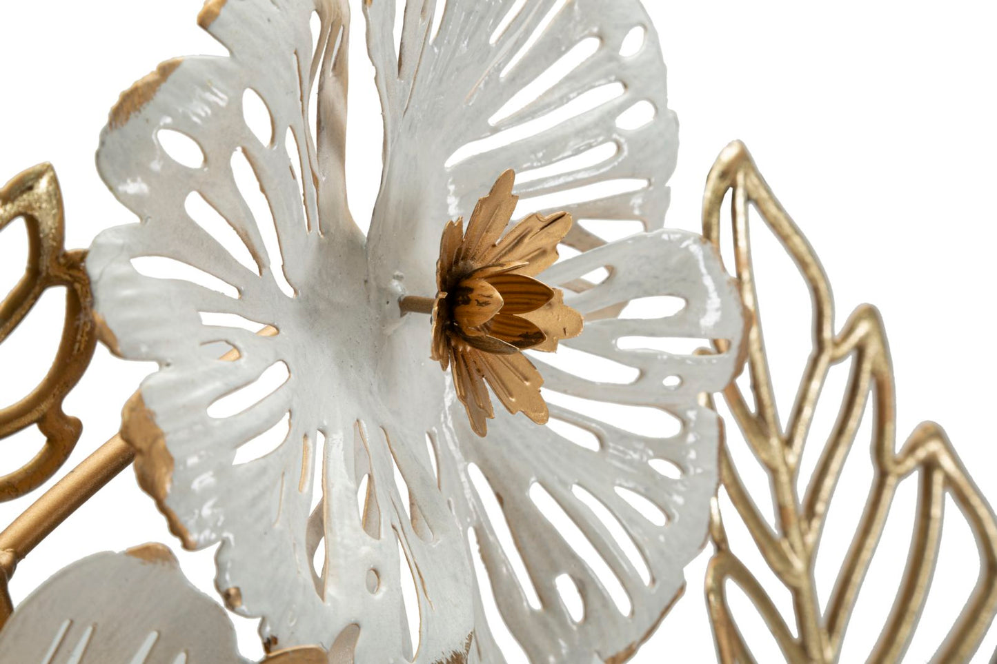 a0af5d1b10cc9c4c5b24be7625a1be46