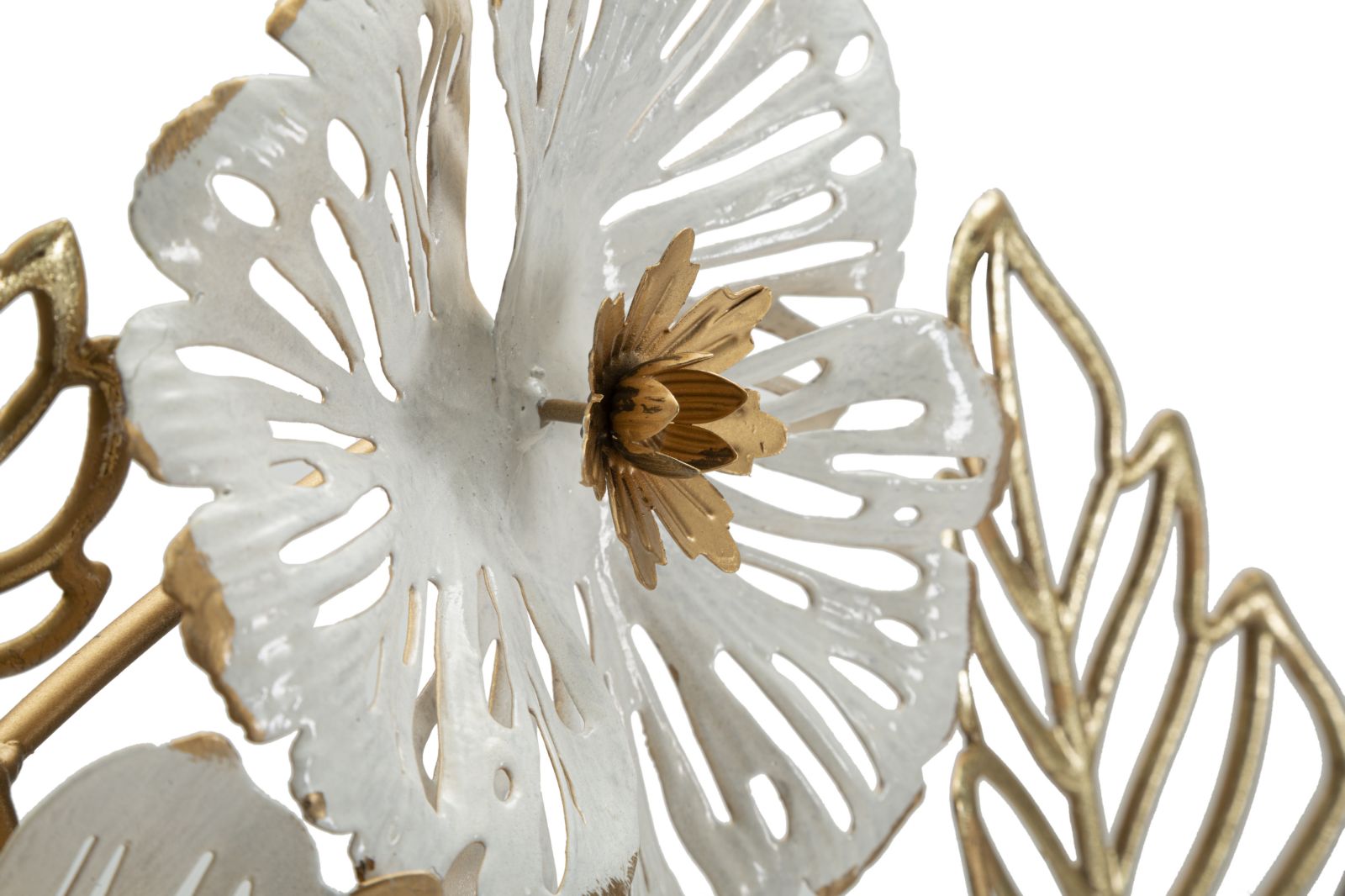 a0af5d1b10cc9c4c5b24be7625a1be46