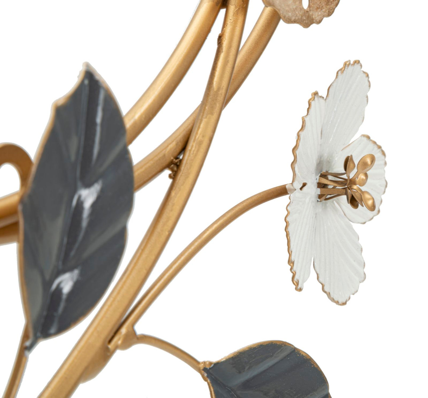 1a1d5e74fbc8081ba2c452b83e609628