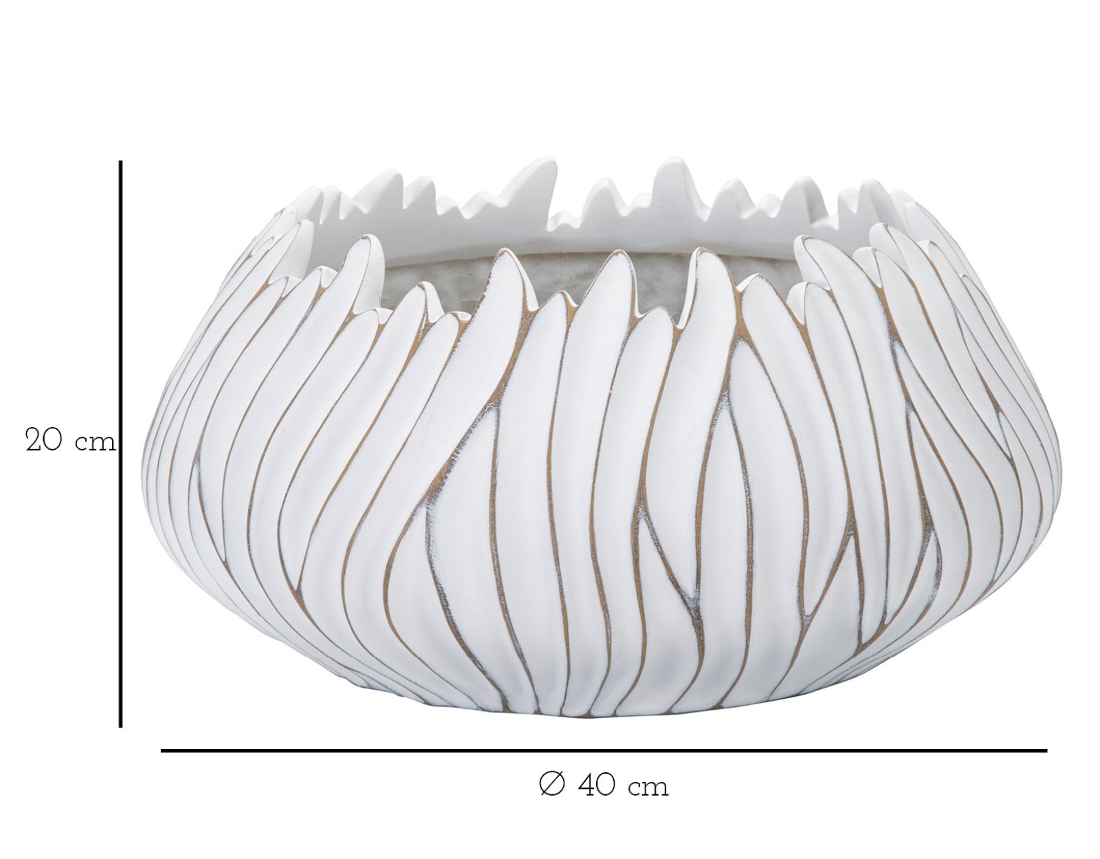 c7370b044258d280fe7eb78f4a1d7ebf