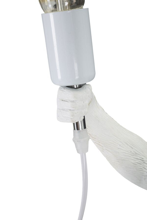 8e540b8b110c054c45e2ce891f211bf7