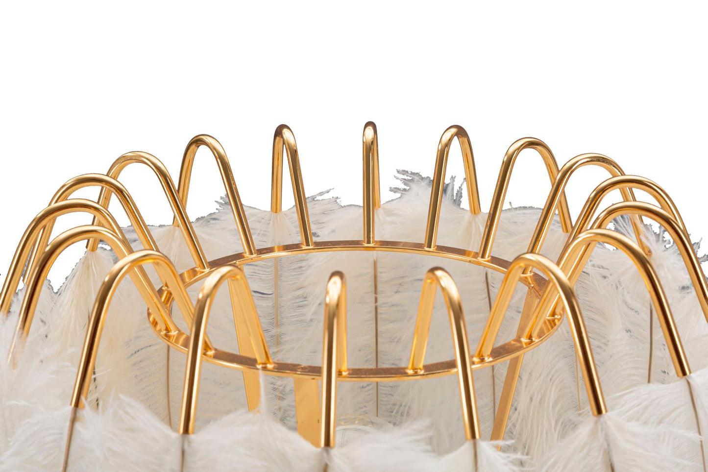 9f2fd2bff7d53a3d3cd25a533541a7d6