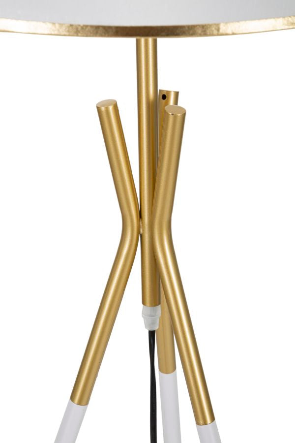 fa8515ce265941380aa0f3046170e159