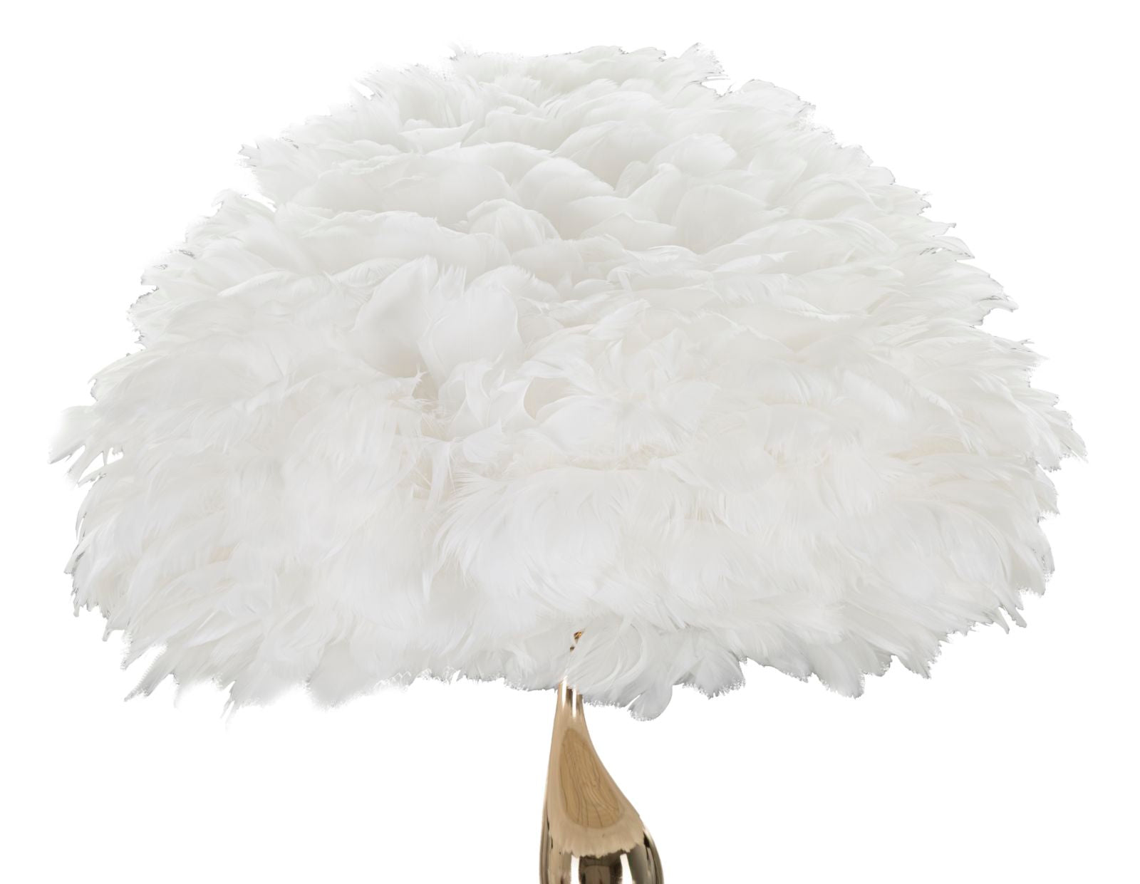 c3bd51a877aa133d535eb44ffc0b3c83