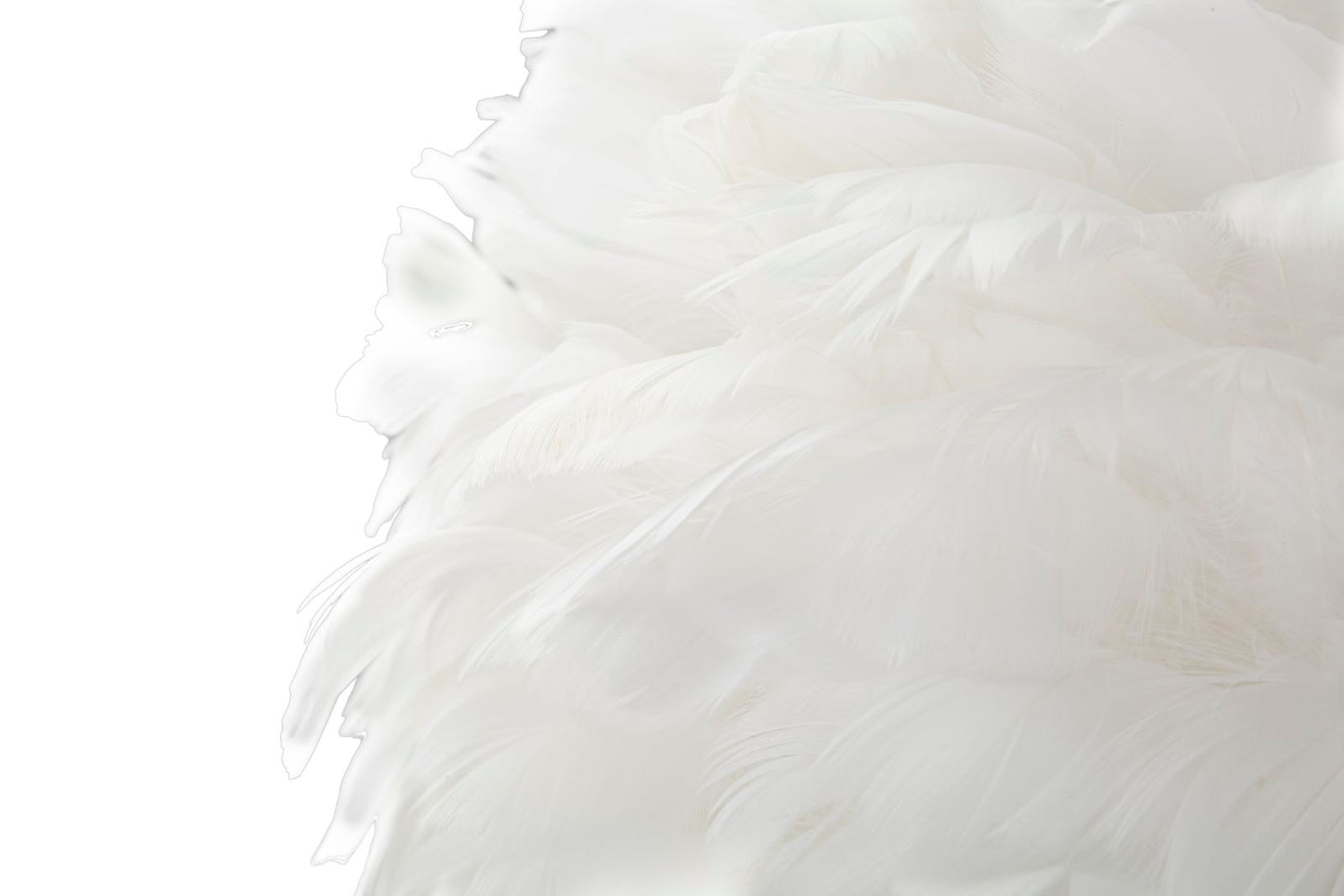 43e974c6d280f08e7a7d73499de70aaa