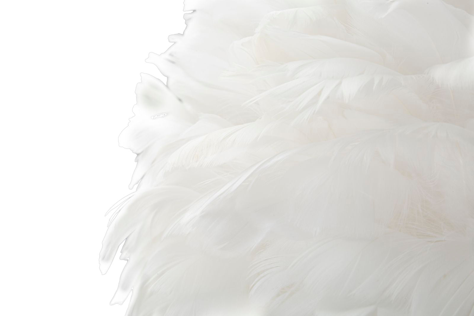 43e974c6d280f08e7a7d73499de70aaa