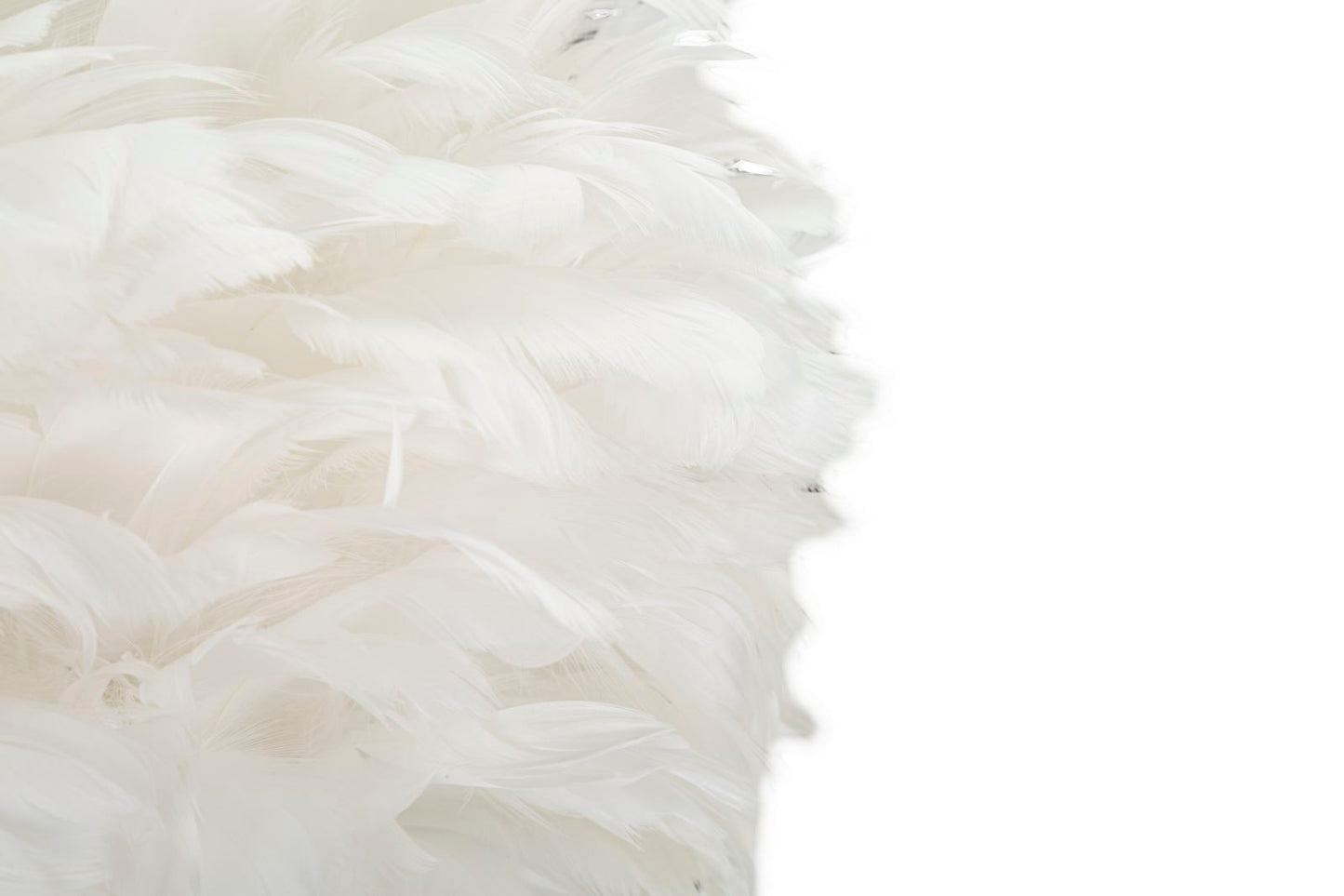 297d94356aa878fb6c3e0940b007d39d