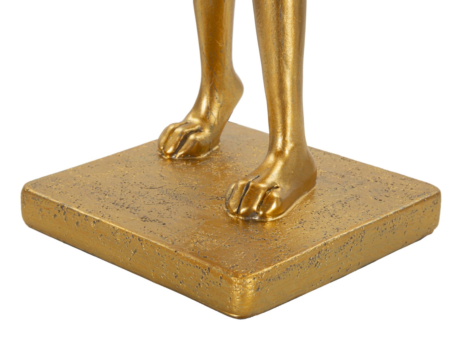 d56bd46d6ff7b48a874f20a89fb3a338