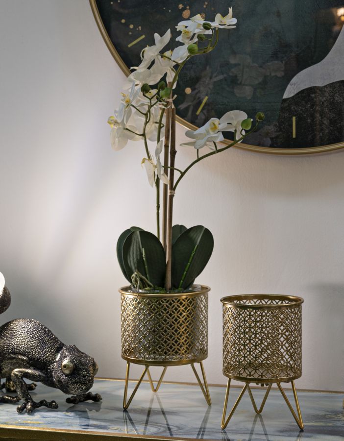 dd2581a27a1d78ebb29cea05a5f20fd8