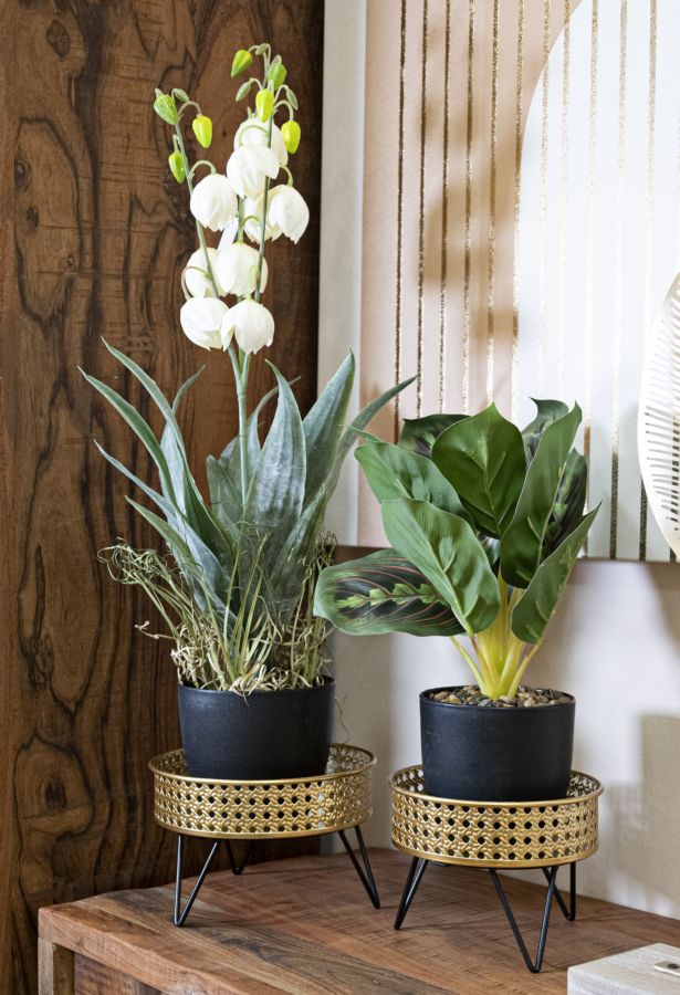 04f6c2835622ead7d0b712fb95bc87bc