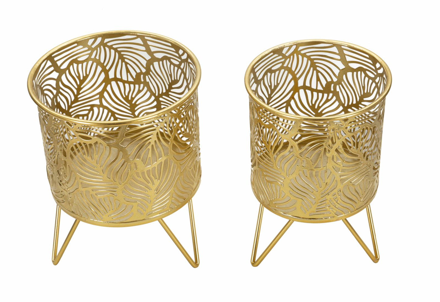 6c3000156efcfbe4a3d64d35670d5fff