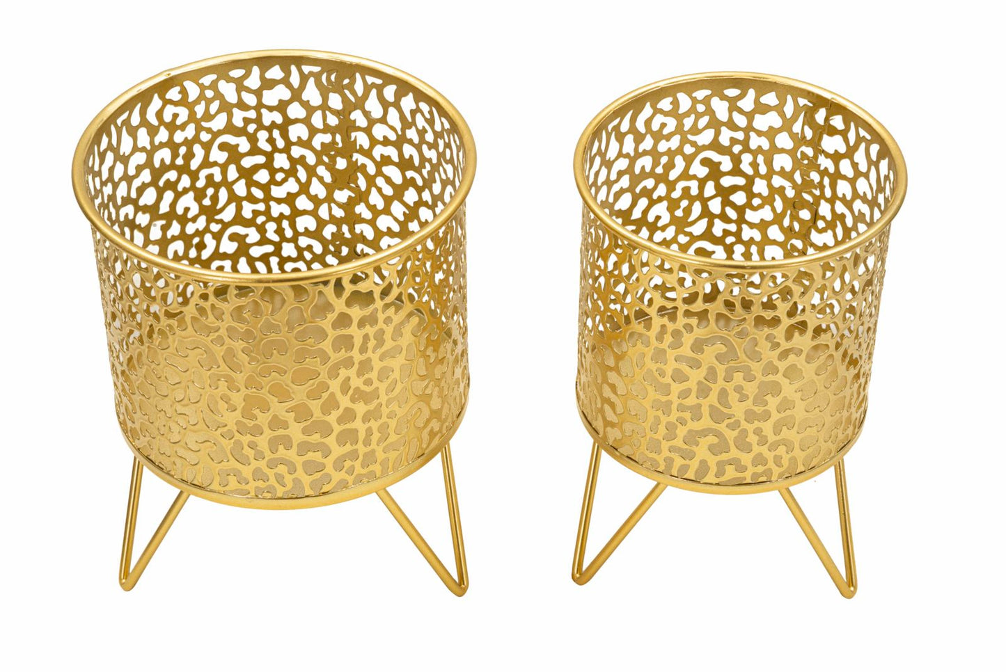 f98d5fd20e03da918ce154de01f502e3