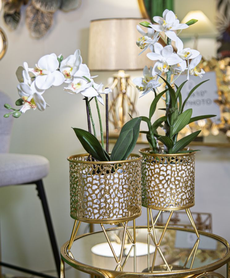 2c5717a68be891c1d3c1d53c44fb26bd