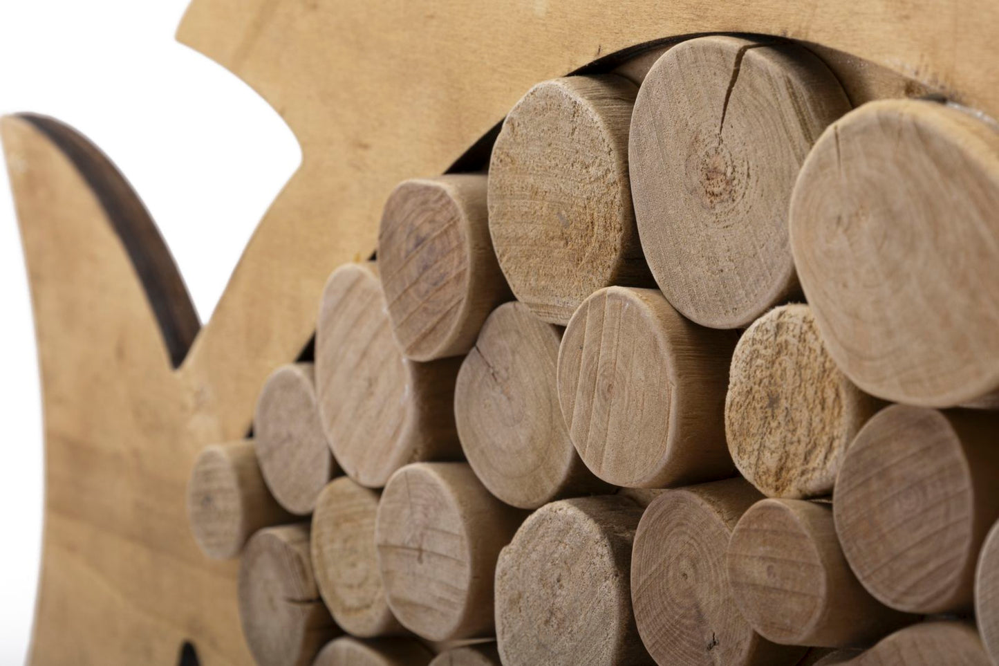 e8f52261b452466cc6156fe8c7445530