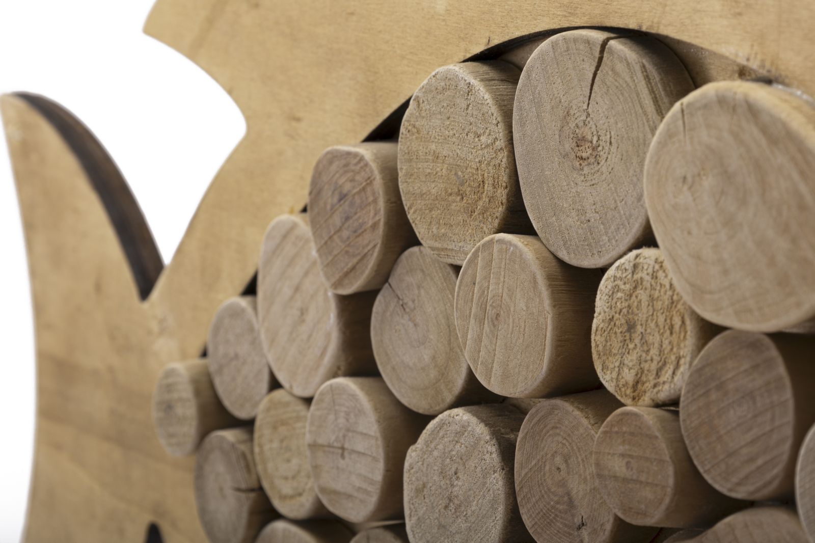 e8f52261b452466cc6156fe8c7445530