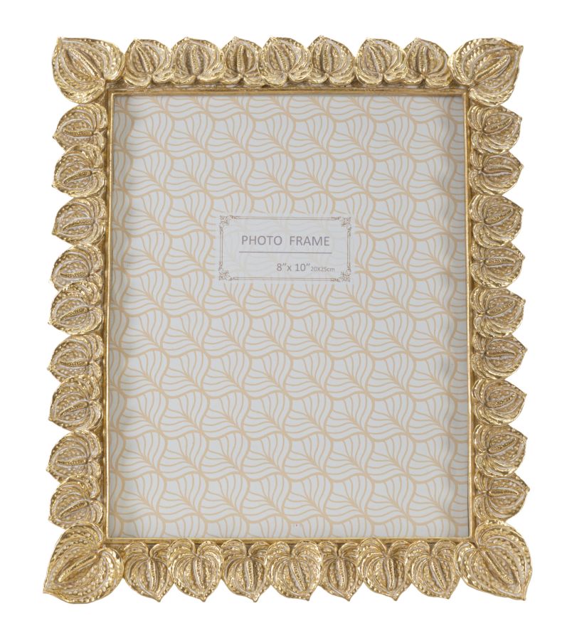 50ff3e0a5d5b11a6589d0f08896f2112