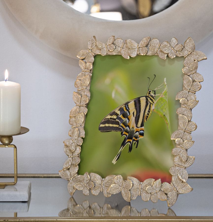 6629c91da04c3069020eaa55459e5bd5