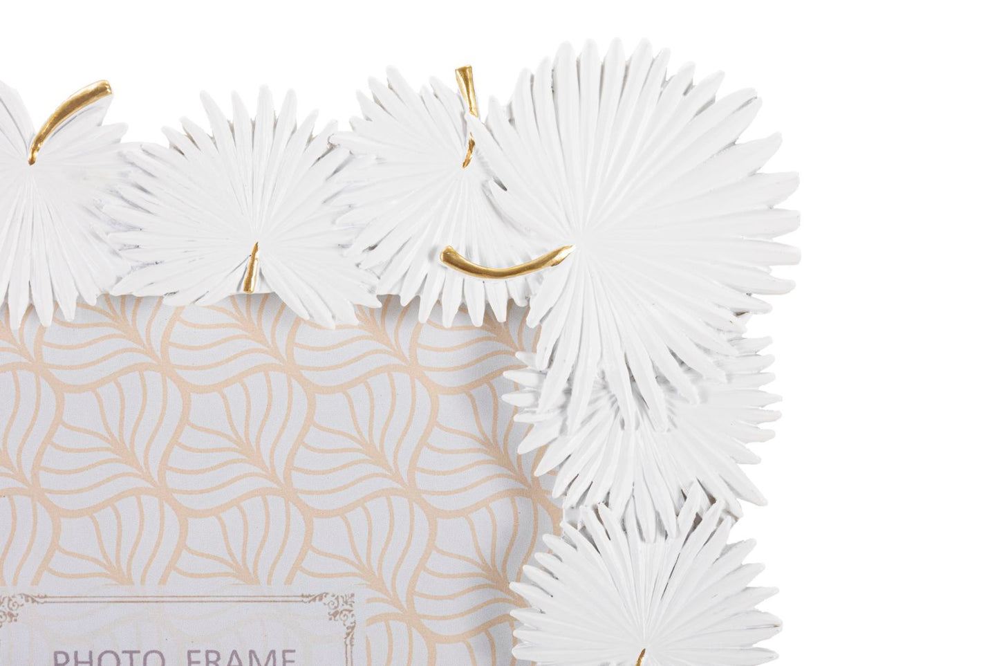 5dcdb7c2dae0181e39c453531ca572d3