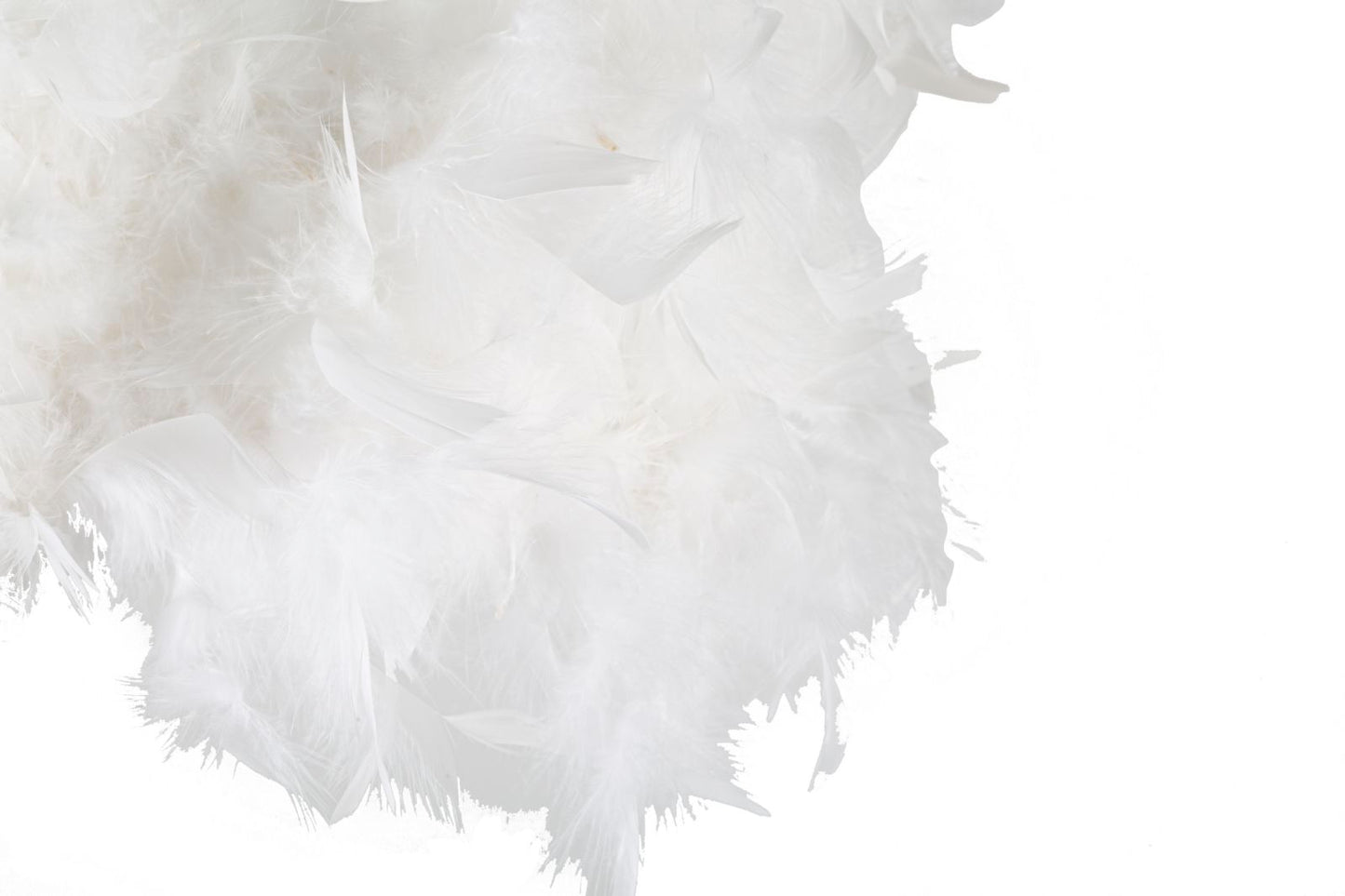 5f7cf98b8a451e6c2c1a546a5417341e