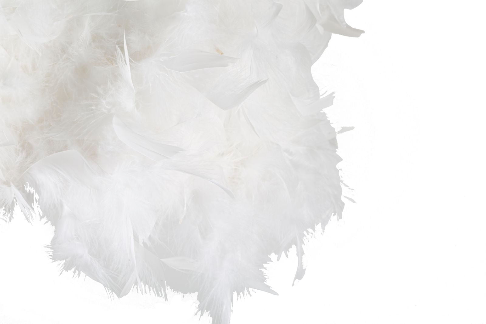 5f7cf98b8a451e6c2c1a546a5417341e