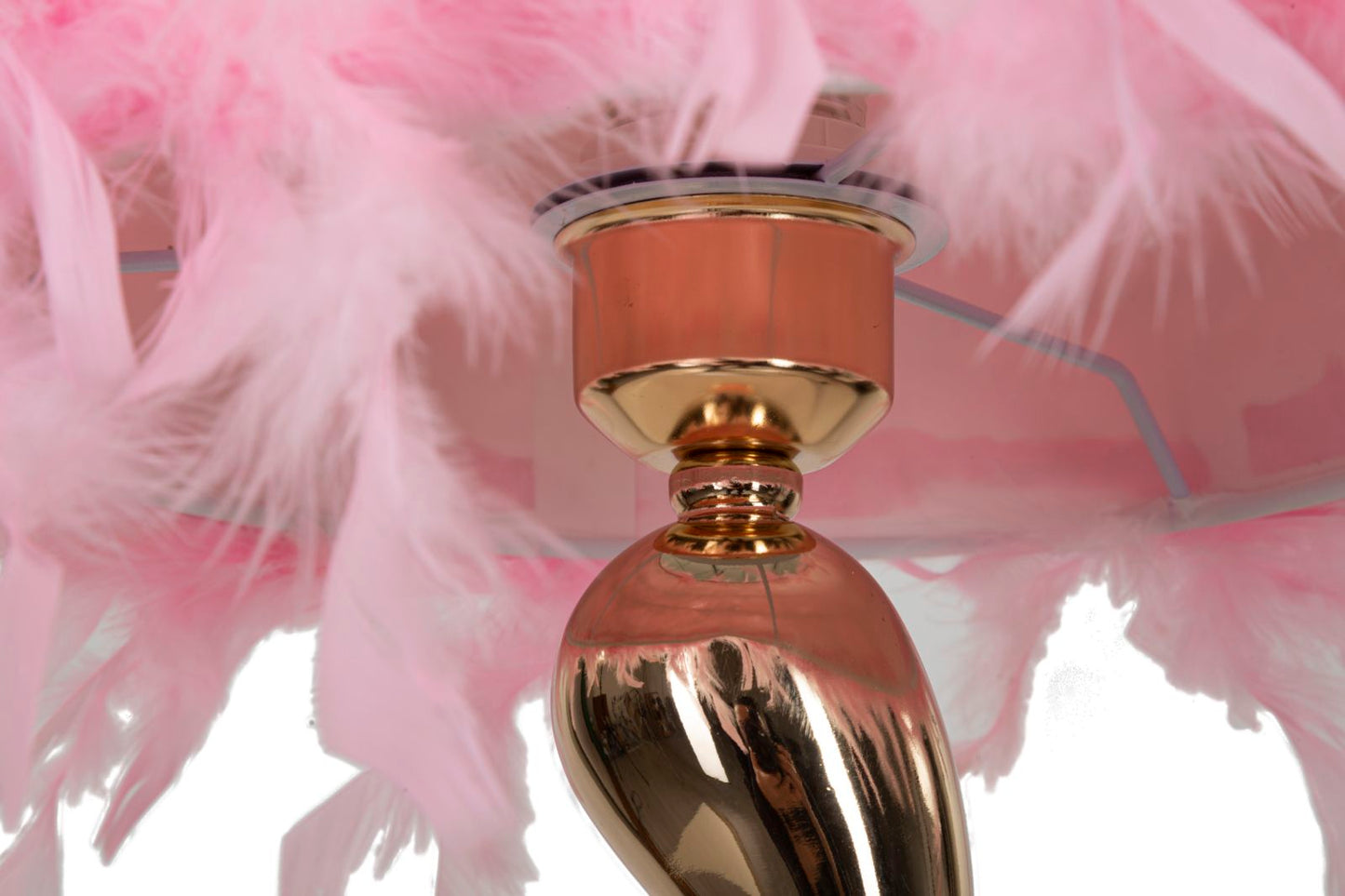 7d77e7ac9514b0ac2fad9daa2f50dacf