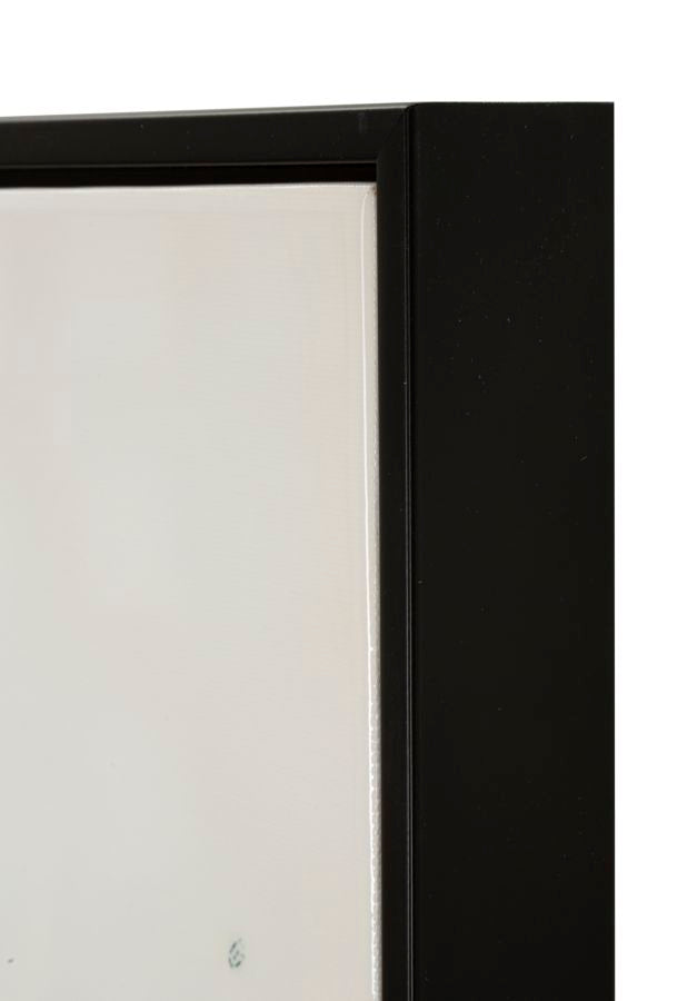 72c835a02a7b0a506004ea4bd1eb6767