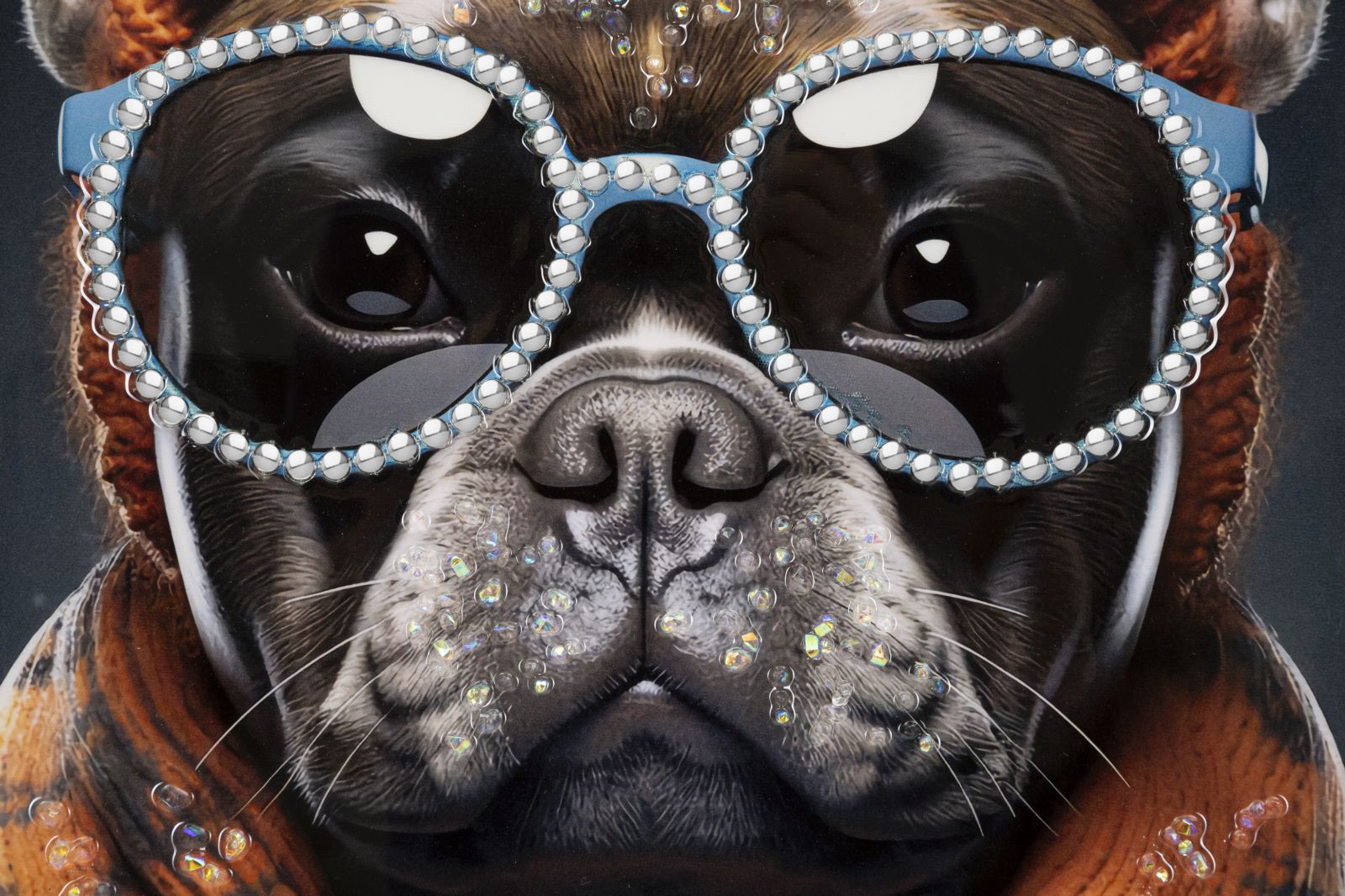 c822614e047a3e0c72027d8075b403d0