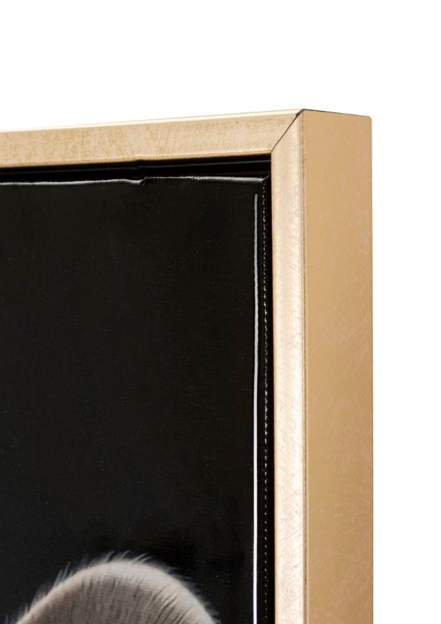 da99e96b91d67460d86b663825a100b0