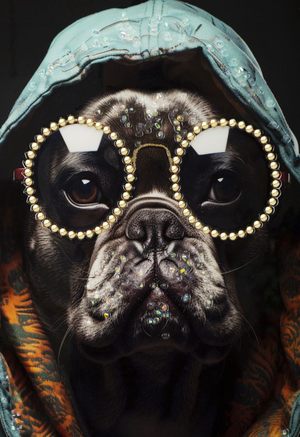 1fe37b9f58712916da03d1bd6c533219