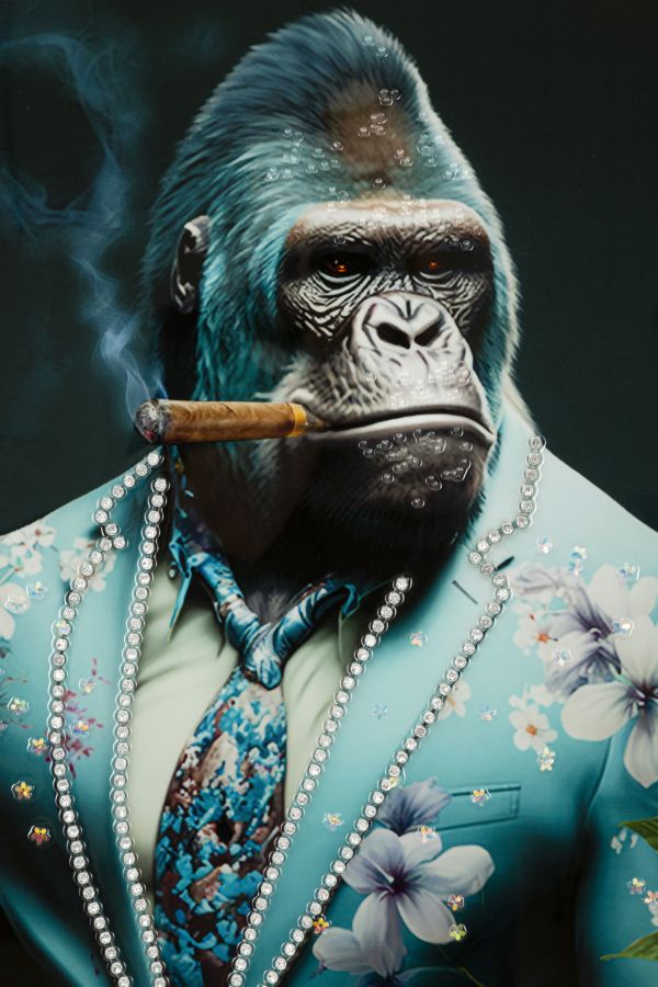 f47a98a202c7c8226279635ea17fdc0a