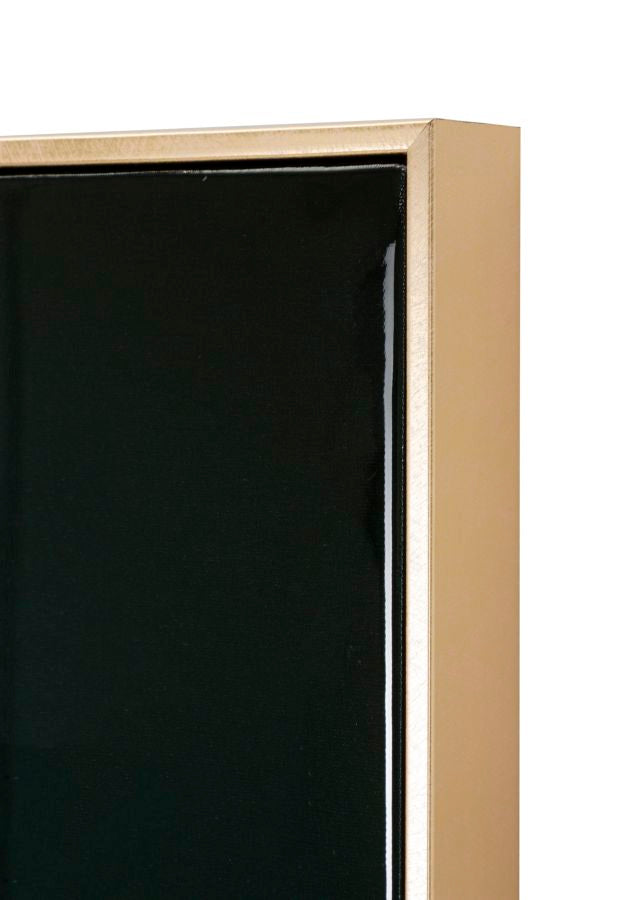 162a4a44207b506dbdacc6507ad30841