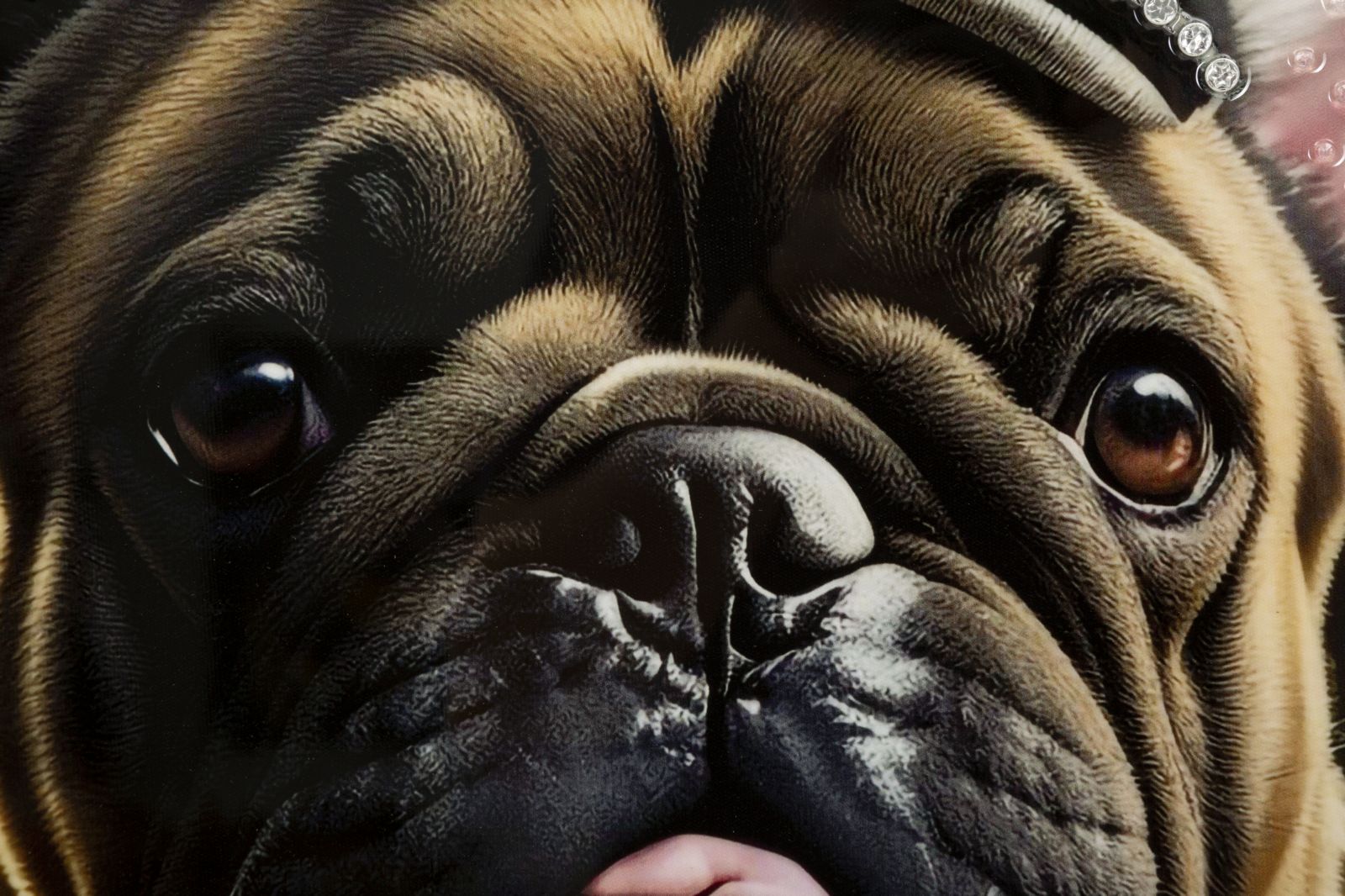 e7fa6d6fe3a7449e84dfe9b2057dd18a