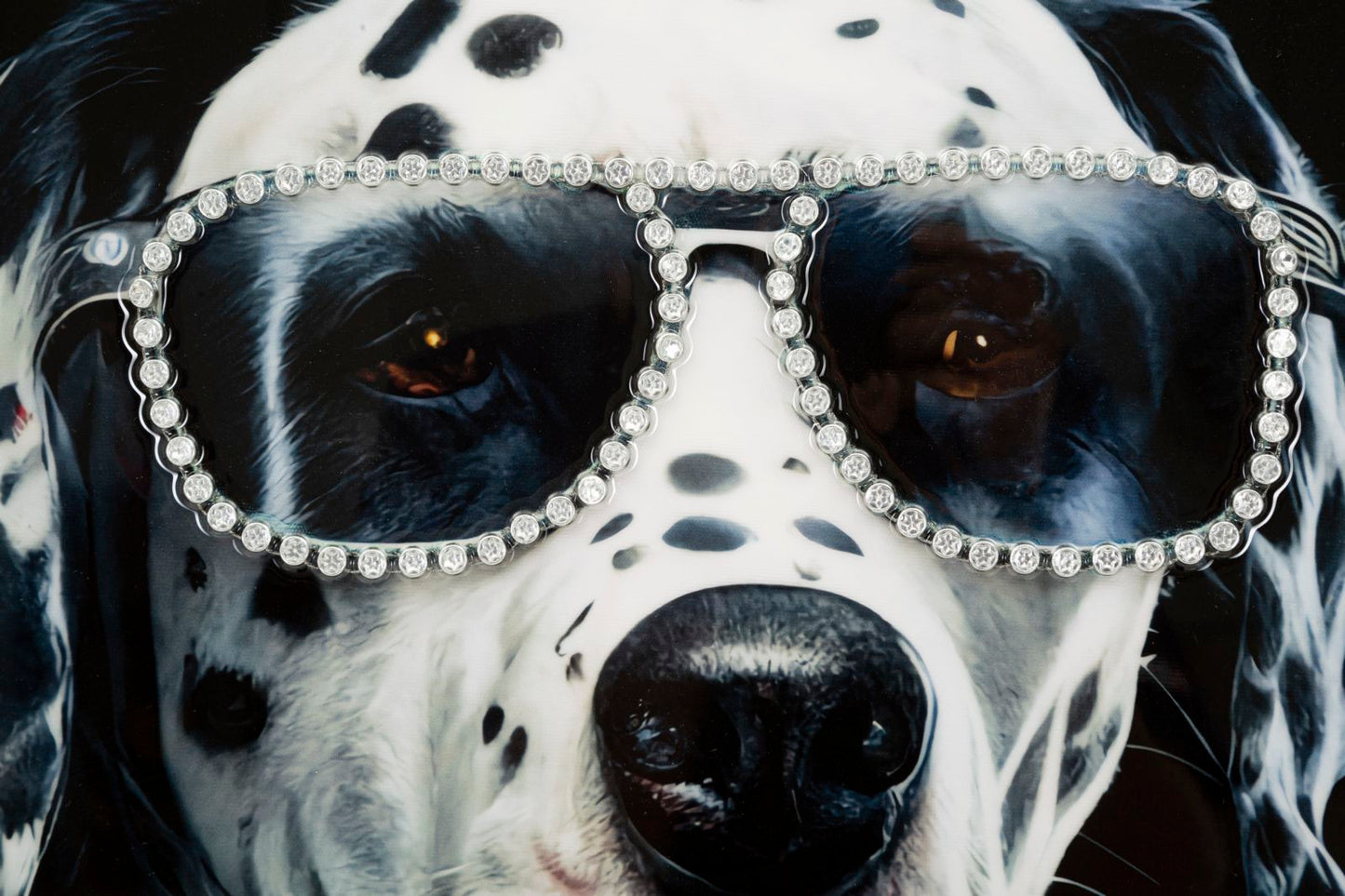 537cd037cd506d3d284454f6450ab0f9