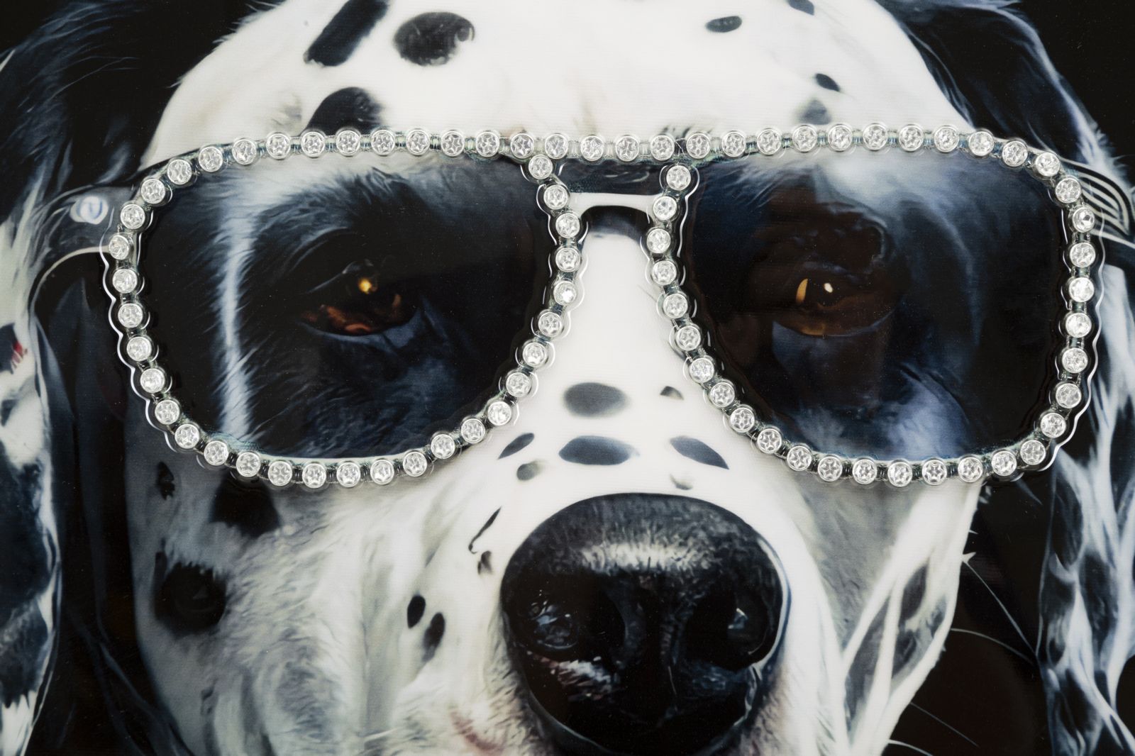 537cd037cd506d3d284454f6450ab0f9