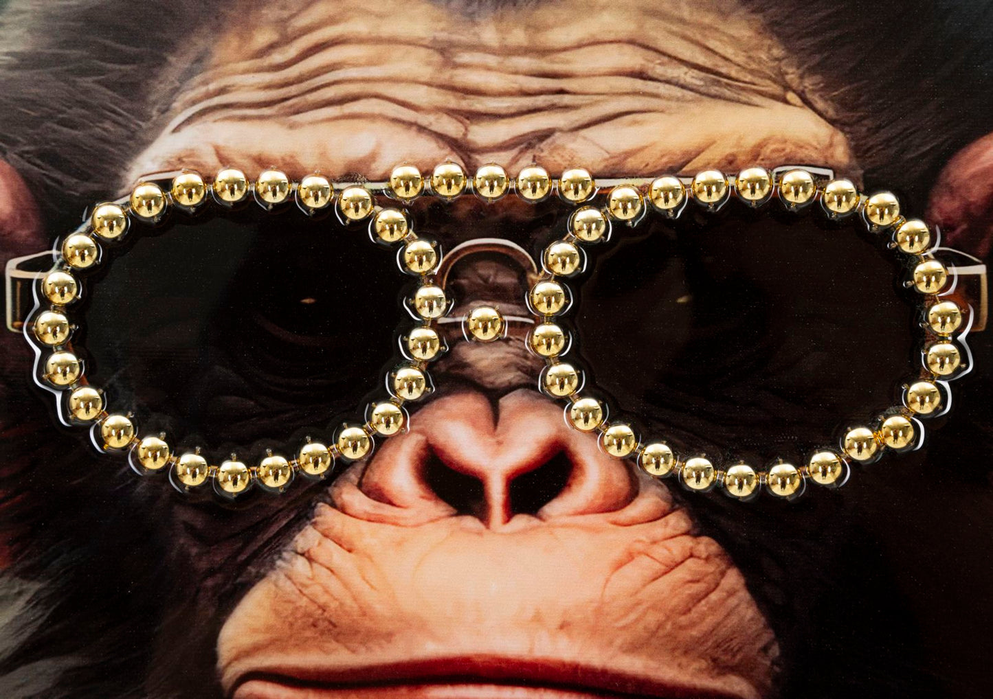 9697bfbc0564f70e1c223f3f1d0ad42a