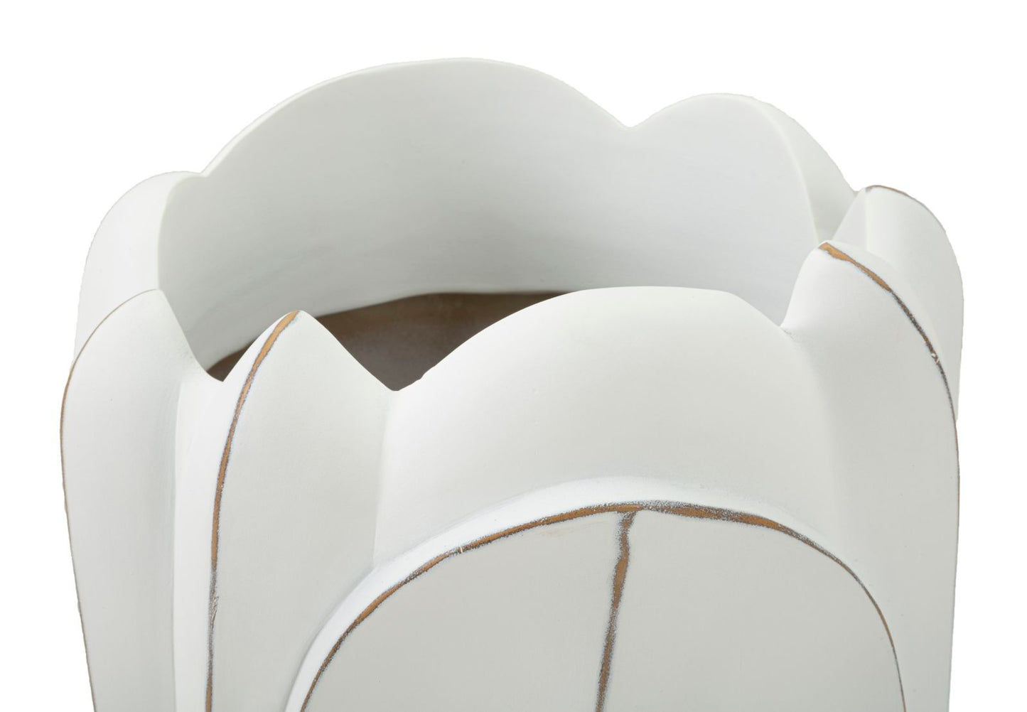 0186b5e53855b6011d4b836e34ebc368