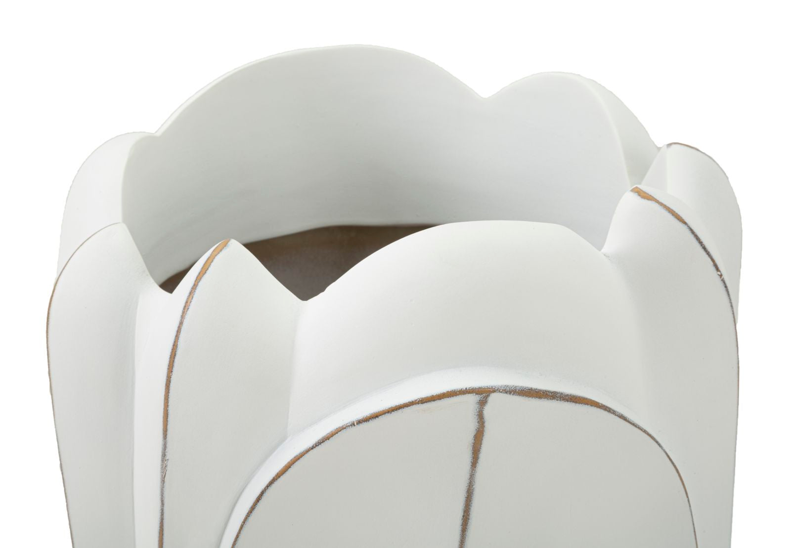 0186b5e53855b6011d4b836e34ebc368