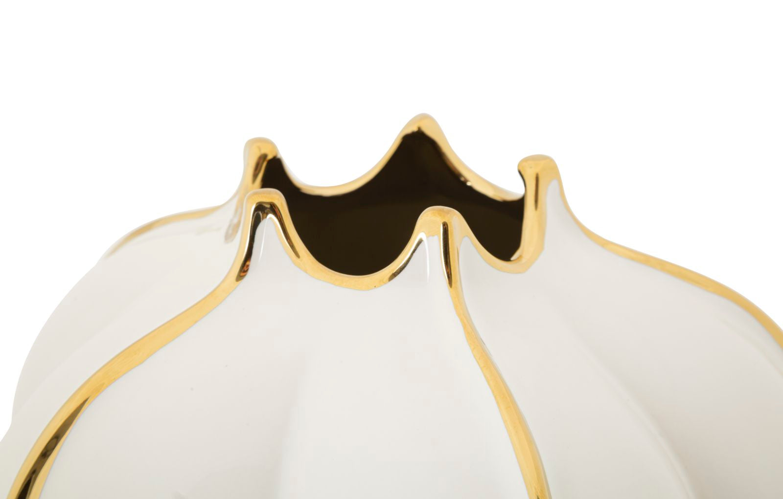 9899d7d08d103c4bff8d7d9f721a4d58