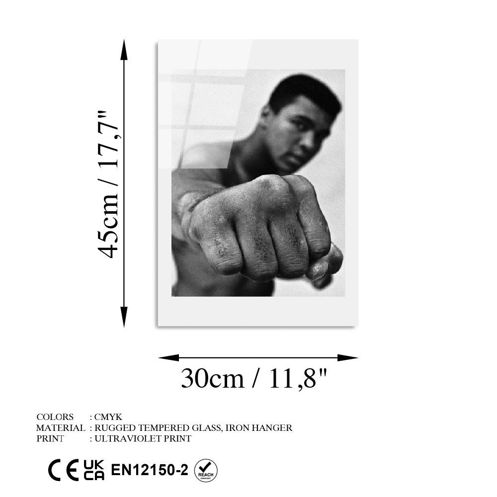 Slika dekorativna na staklu, UV-991 - 30 x 45