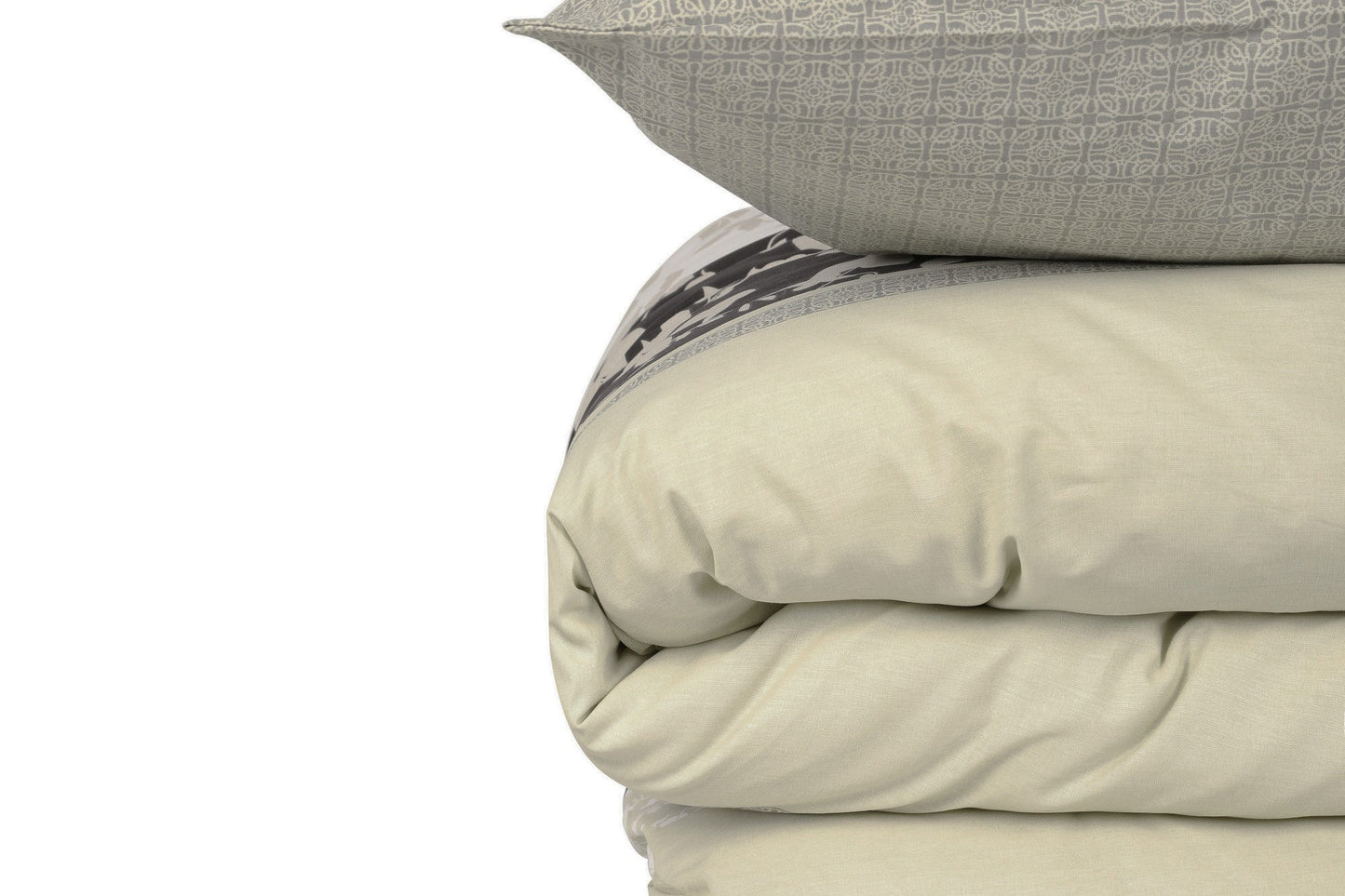 a68b5972f3c92b4ed4a025f0ce885d4a