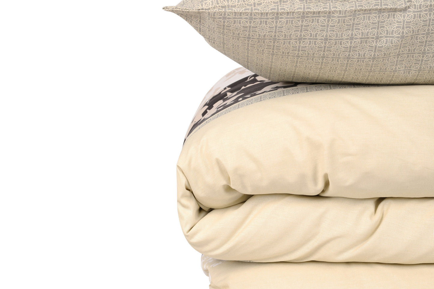 1c4aa25a708989246611a4939e8fca4c