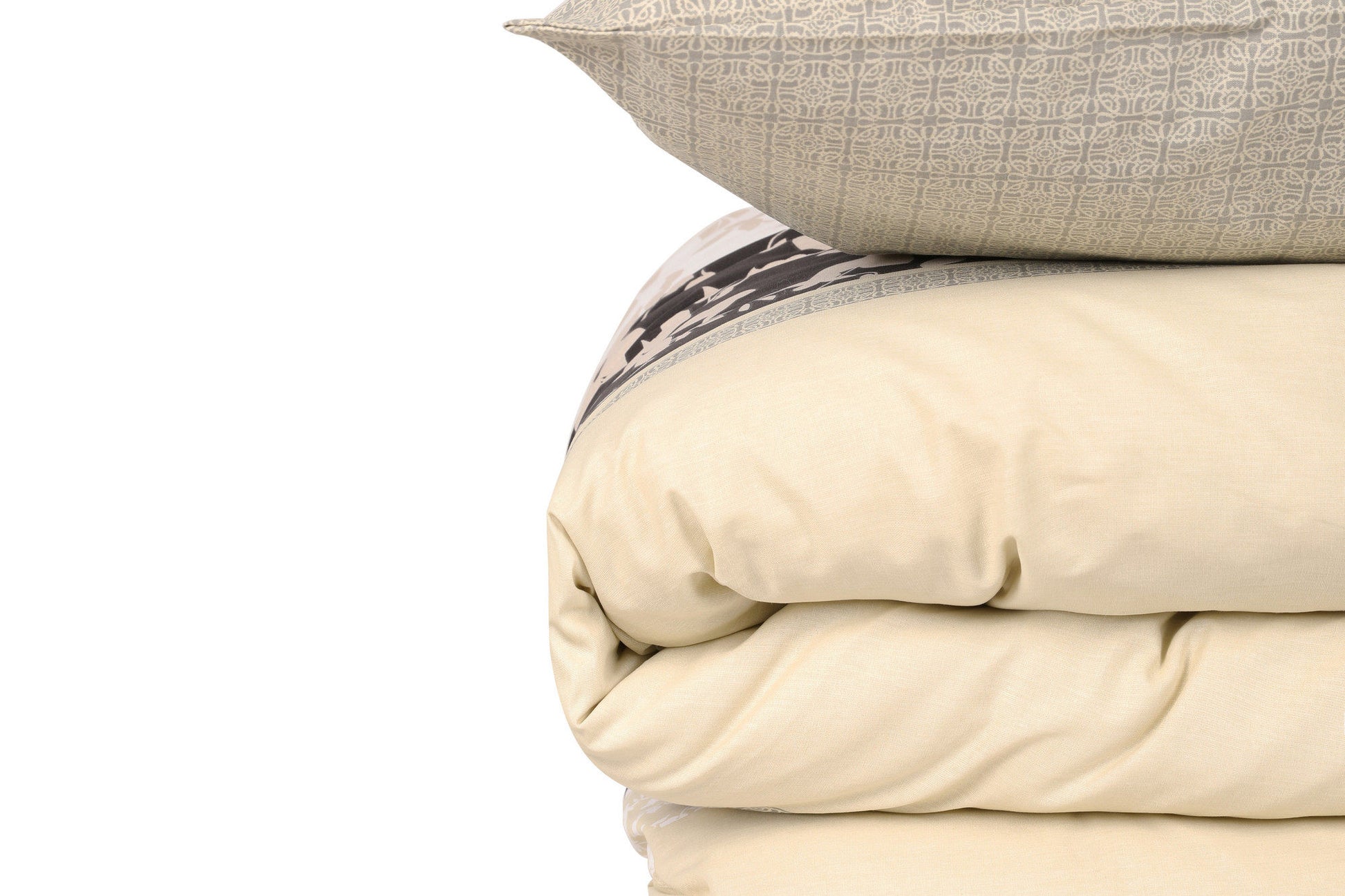 1c4aa25a708989246611a4939e8fca4c