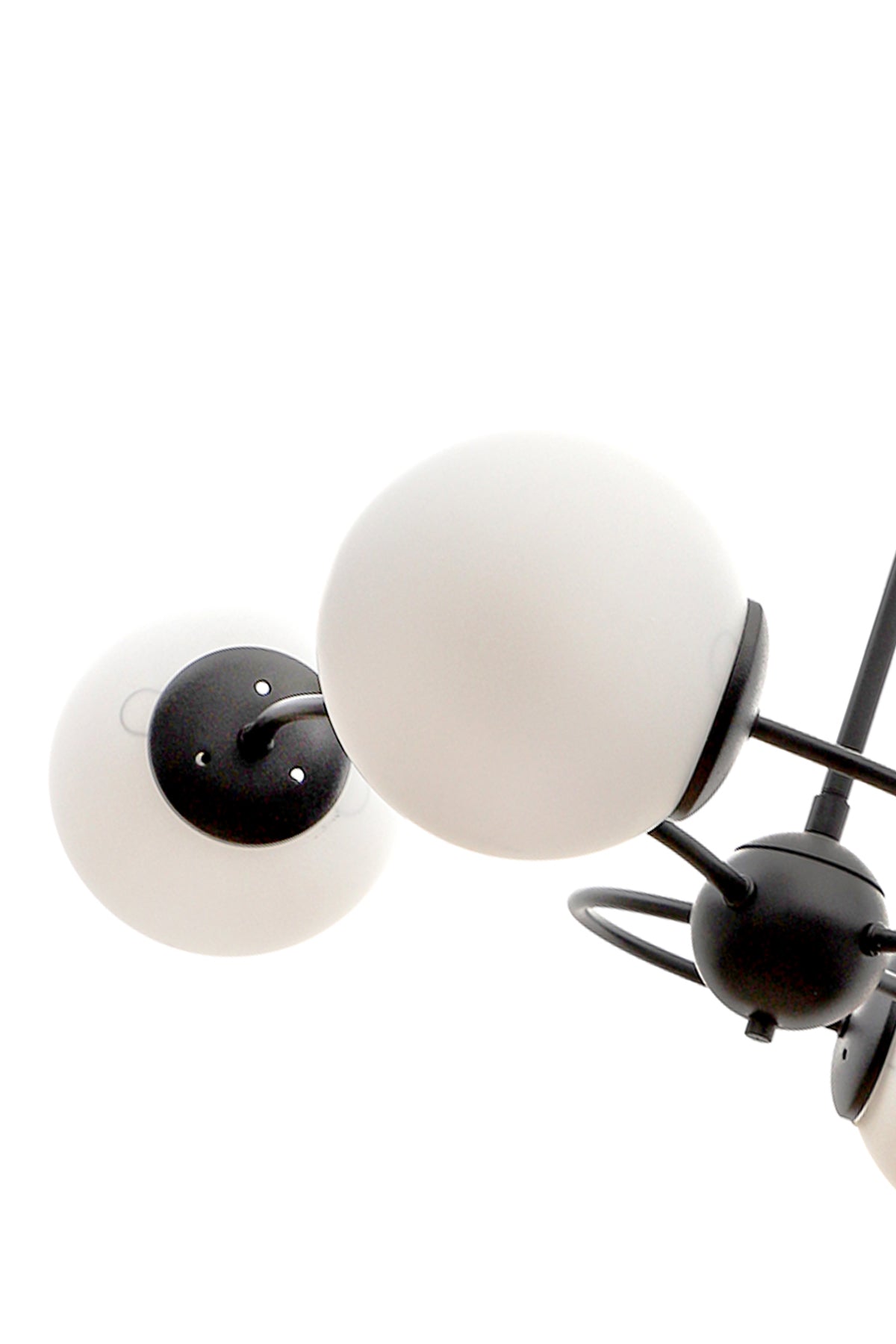 fea19b847fba24f85caa873da9e70629