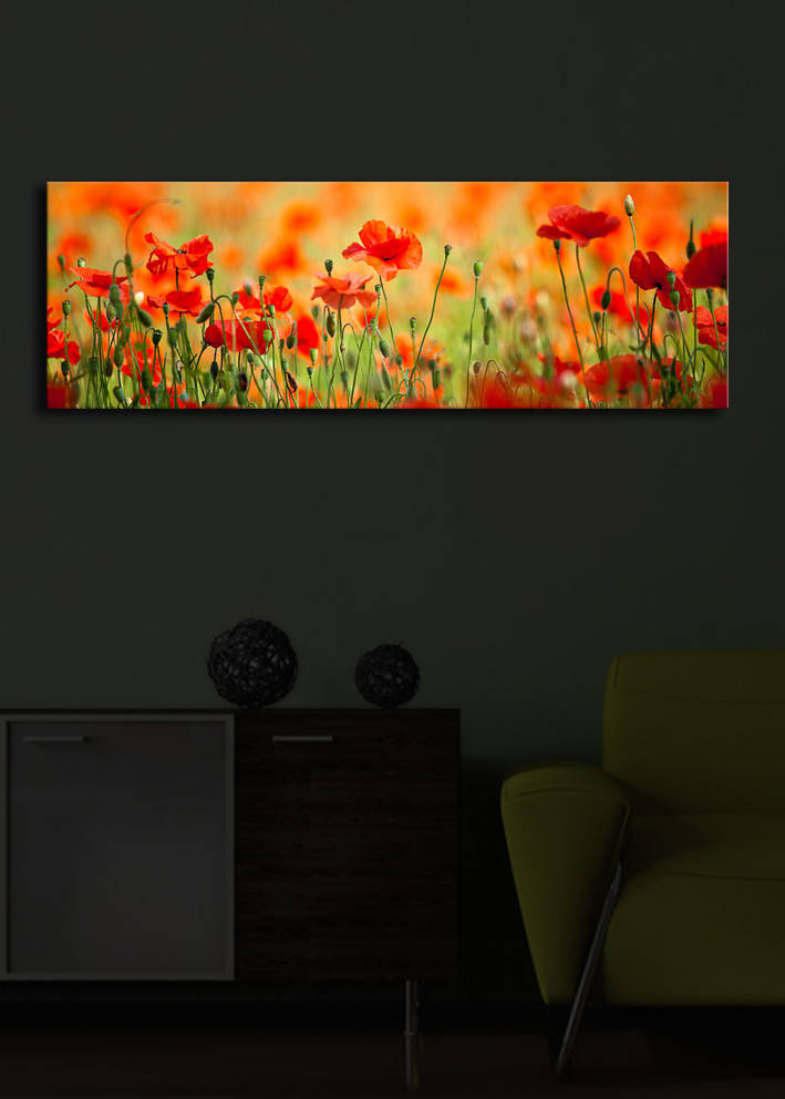 Ukrasna slika na platnu s LED osvjetljenjem 3090İACT-13
