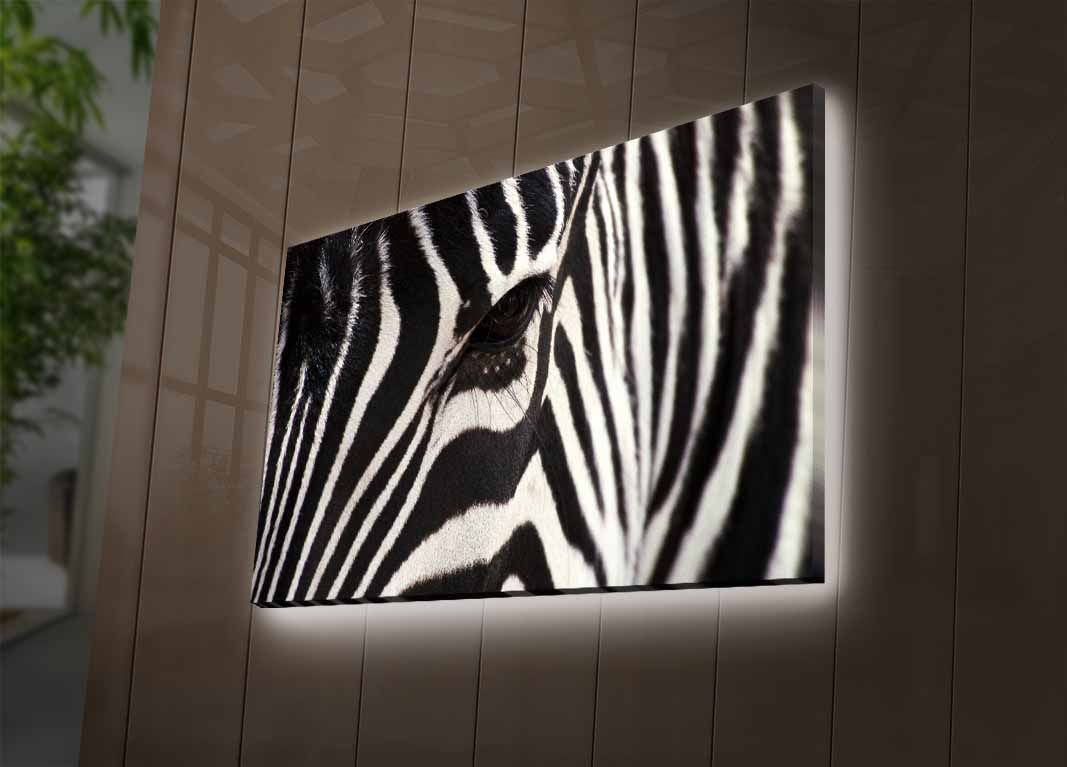 Slika dekorativna platno sa LED rasvjetom, 4570DHDACT-035