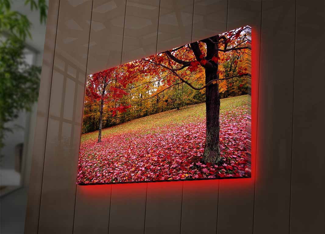 Slika dekorativna platno sa LED rasvjetom, 4570DHDACT-041