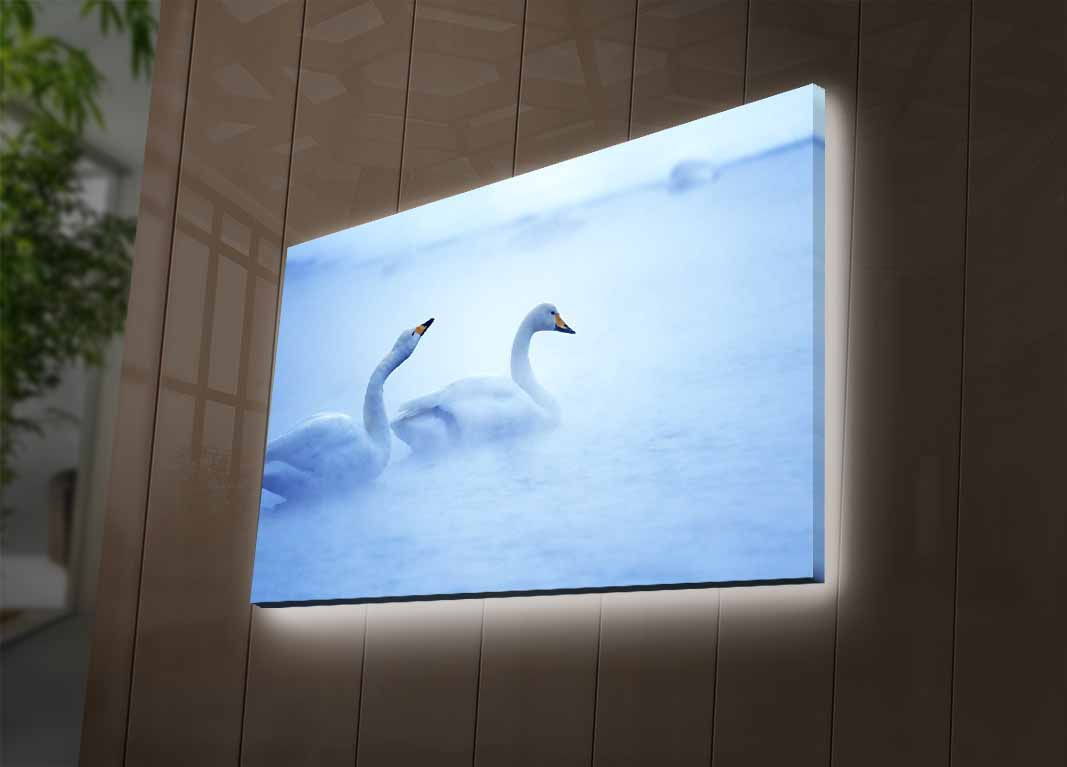 Slika dekorativna platno sa LED rasvjetom, 4570DHDACT-178