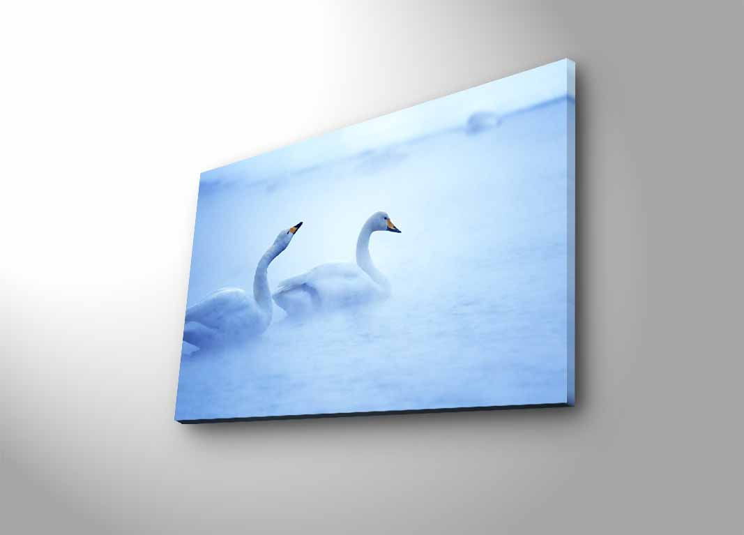 Slika dekorativna platno sa LED rasvjetom, 4570DHDACT-178