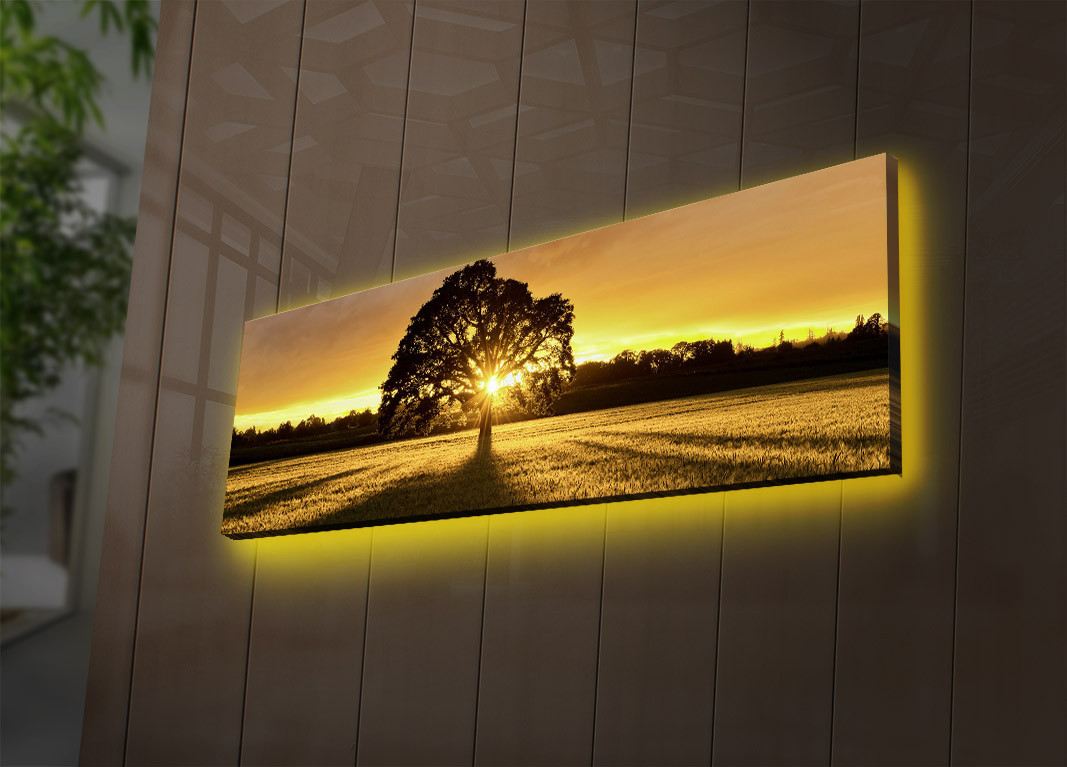Ukrasna LED osvijetljena platno slika, 3090DACT-68